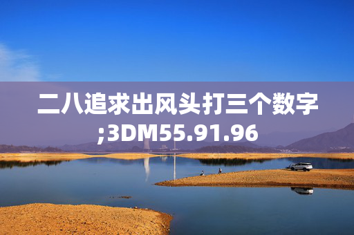 二八追求出风头打三个数字;3DM55.91.96