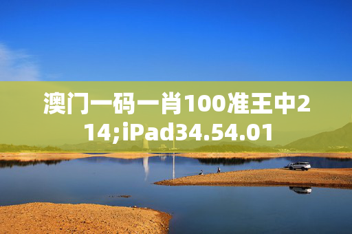 澳门一码一肖100准王中214;iPad34.54.01