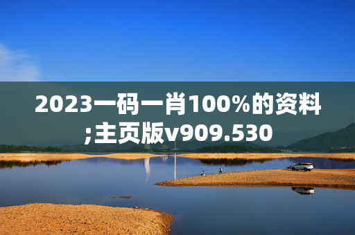 2023一码一肖100%的资料;主页版v909.530