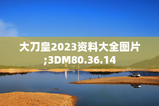 大刀皇2023资料大全图片;3DM80.36.14