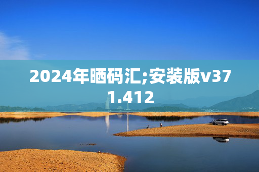 2024年晒码汇;安装版v371.412