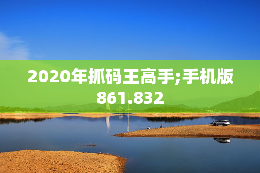 2020年抓码王高手;手机版861.832