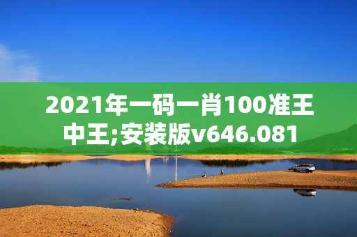 2021年一码一肖100准王中王;安装版v646.081