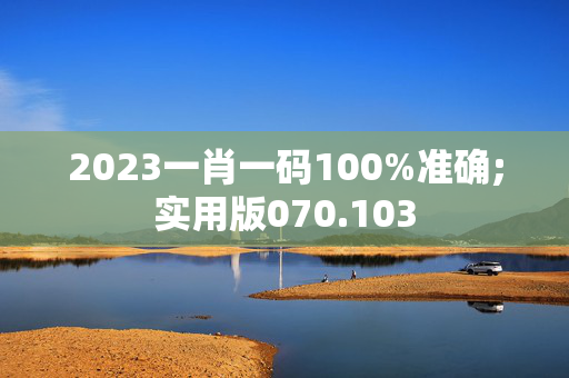 2023一肖一码100%准确;实用版070.103