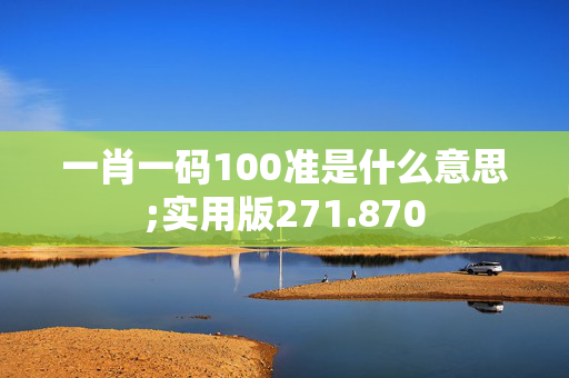 一肖一码100准是什么意思;实用版271.870