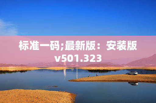 标准一码;最新版：安装版v501.323