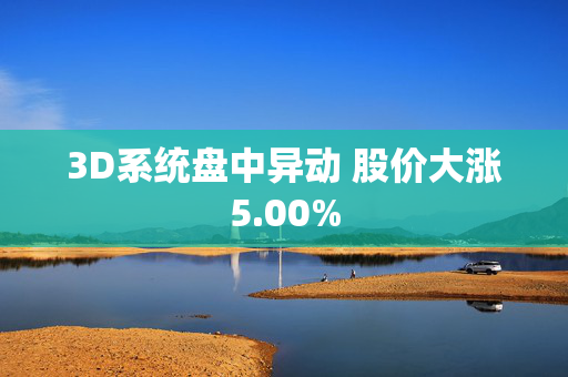 3D系统盘中异动 股价大涨5.00%