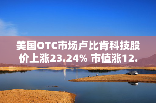 美国OTC市场卢比肯科技股价上涨23.24% 市值涨12.3万美元