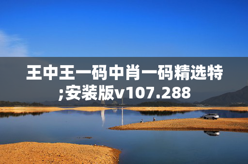 王中王一码中肖一码精选特;安装版v107.288