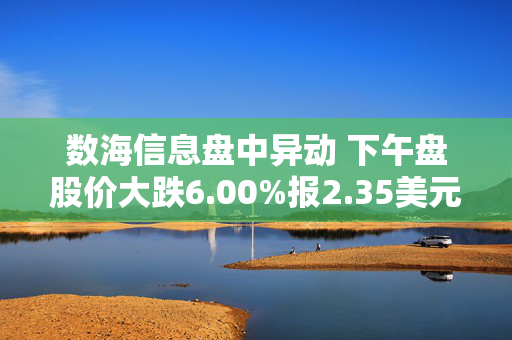 数海信息盘中异动 下午盘股价大跌6.00%报2.35美元