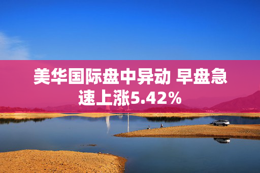 美华国际盘中异动 早盘急速上涨5.42%