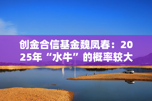 创金合信基金魏凤春：2025年“水牛”的概率较大