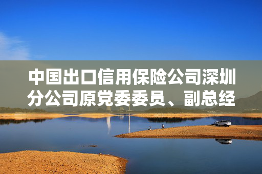 中国出口信用保险公司深圳分公司原党委委员、副总经理孙俊竹被开除党籍和公职