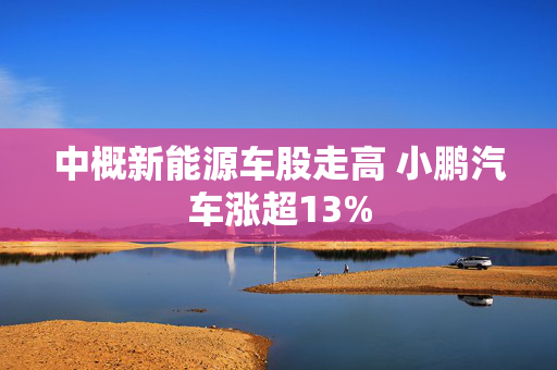 中概新能源车股走高 小鹏汽车涨超13%