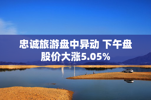 忠诚旅游盘中异动 下午盘股价大涨5.05%