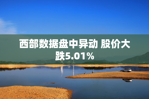 西部数据盘中异动 股价大跌5.01%