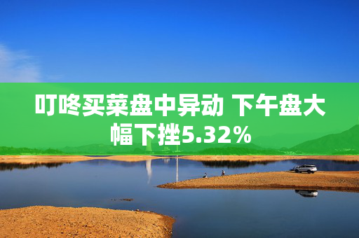 叮咚买菜盘中异动 下午盘大幅下挫5.32%