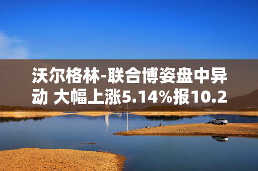 沃尔格林-联合博姿盘中异动 大幅上涨5.14%报10.23美元