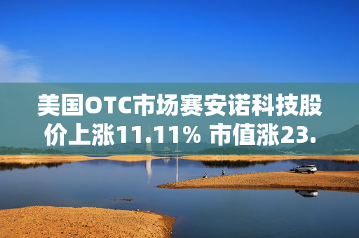 美国OTC市场赛安诺科技股价上涨11.11% 市值涨23.05万美元