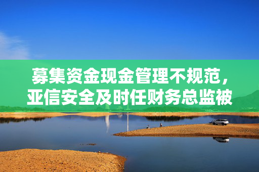 募集资金现金管理不规范，亚信安全及时任财务总监被上交所予以监管警示