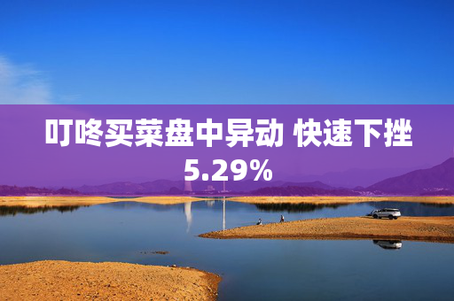 叮咚买菜盘中异动 快速下挫5.29%