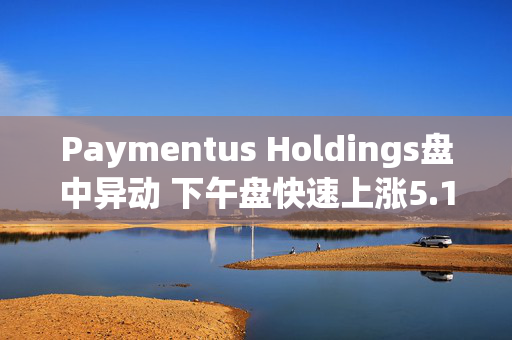 Paymentus Holdings盘中异动 下午盘快速上涨5.17%