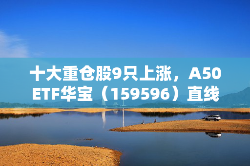 十大重仓股9只上涨，A50ETF华宝（159596）直线拉升，宁德时代涨近3%