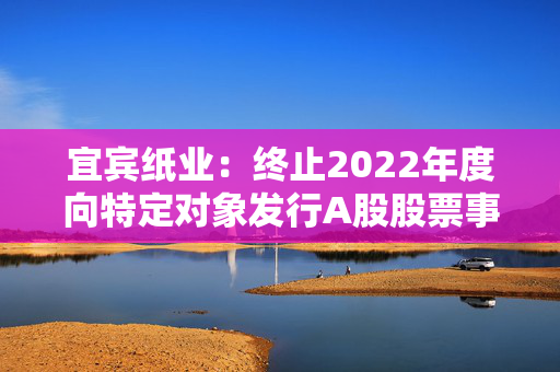 宜宾纸业：终止2022年度向特定对象发行A股股票事项