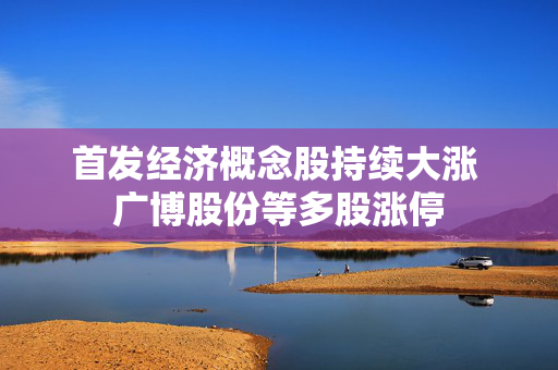 首发经济概念股持续大涨 广博股份等多股涨停