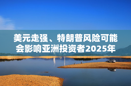 美元走强、特朗普风险可能会影响亚洲投资者2025年投资押注