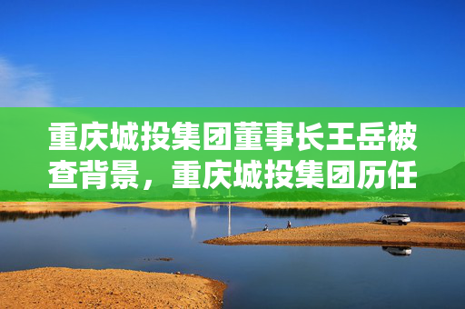 重庆城投集团董事长王岳被查背景，重庆城投集团历任董事长介绍