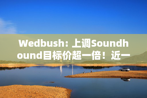 Wedbush: 上调Soundhound目标价超一倍！近一月160%涨势有望“燃”至明年