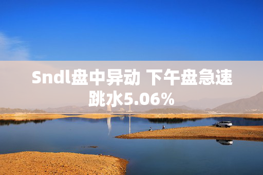 Sndl盘中异动 下午盘急速跳水5.06%