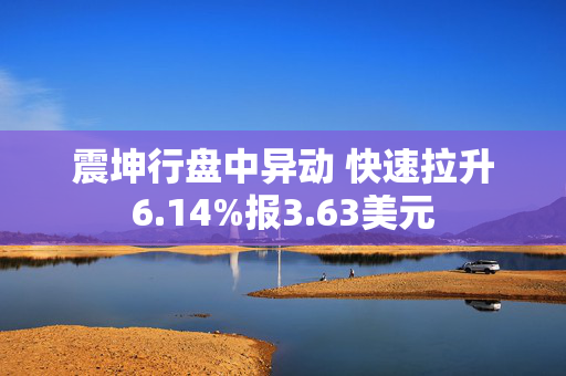 震坤行盘中异动 快速拉升6.14%报3.63美元