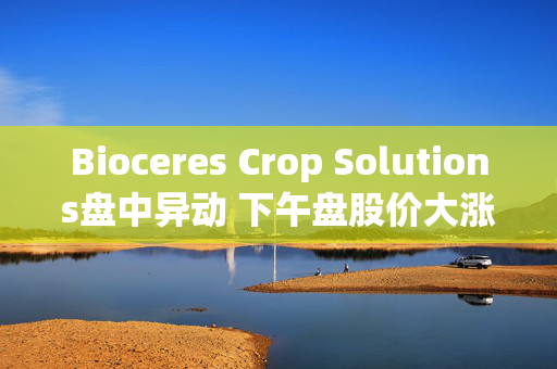 Bioceres Crop Solutions盘中异动 下午盘股价大涨5.11%