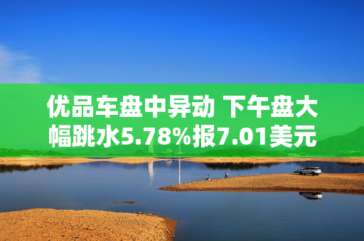 优品车盘中异动 下午盘大幅跳水5.78%报7.01美元