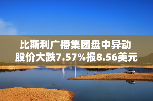 比斯利广播集团盘中异动 股价大跌7.57%报8.56美元