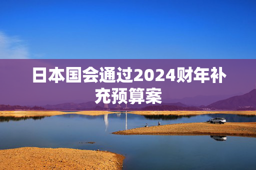 日本国会通过2024财年补充预算案