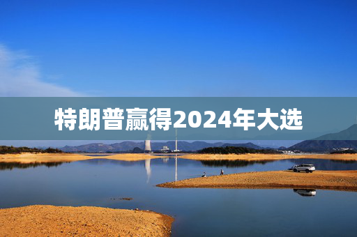 特朗普赢得2024年大选