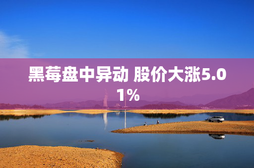 黑莓盘中异动 股价大涨5.01%