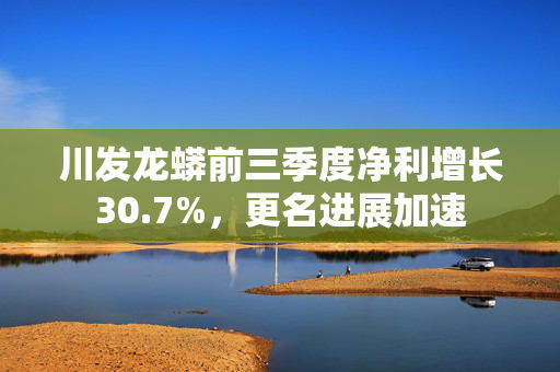 川发龙蟒前三季度净利增长30.7%，更名进展加速