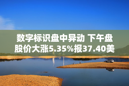 数字标识盘中异动 下午盘股价大涨5.35%报37.40美元