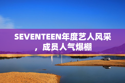 SEVENTEEN年度艺人风采，成员人气爆棚