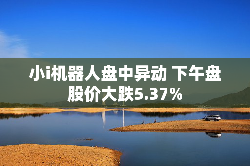 小i机器人盘中异动 下午盘股价大跌5.37%