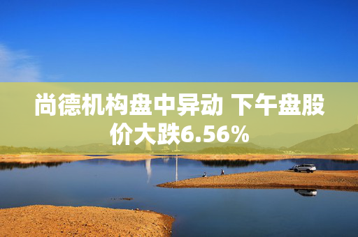 尚德机构盘中异动 下午盘股价大跌6.56%