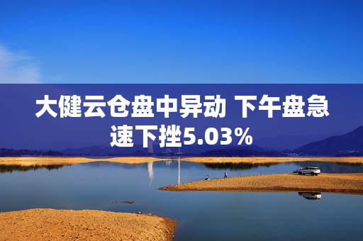 大健云仓盘中异动 下午盘急速下挫5.03%