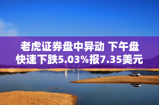 老虎证券盘中异动 下午盘快速下跌5.03%报7.35美元