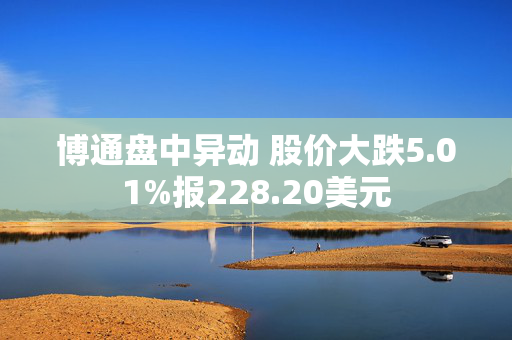 博通盘中异动 股价大跌5.01%报228.20美元