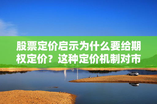 股票定价启示为什么要给期权定价？这种定价机制对市场有什么影响？