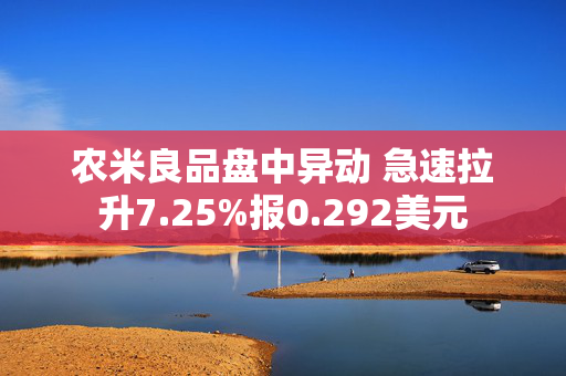 农米良品盘中异动 急速拉升7.25%报0.292美元